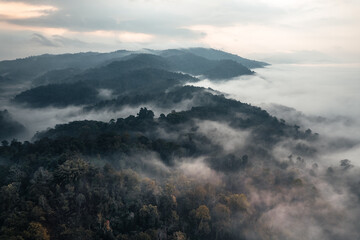 玫瑰纯露
